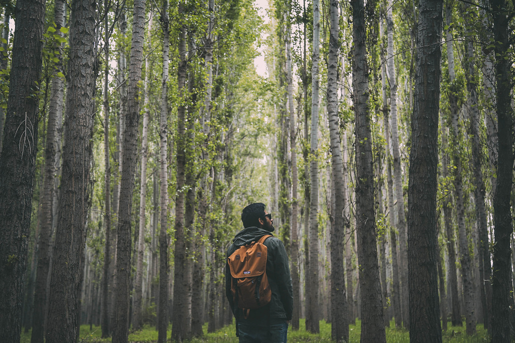 Man walking through forest